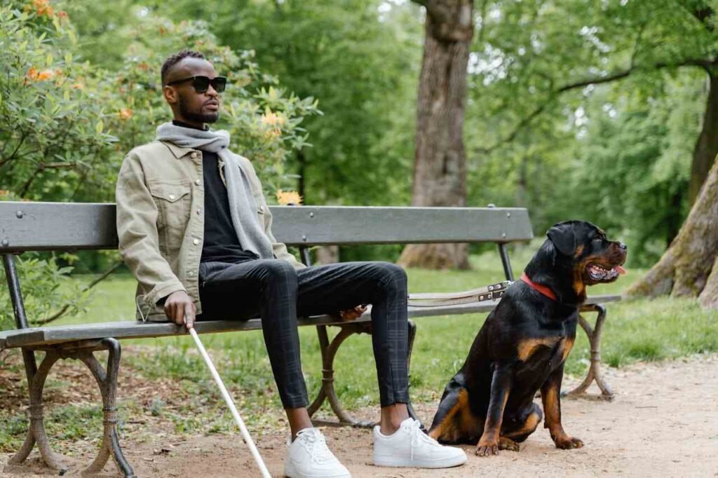 Discover how emotional support animals provide comfort, independence, and companionship for people with disabilities.