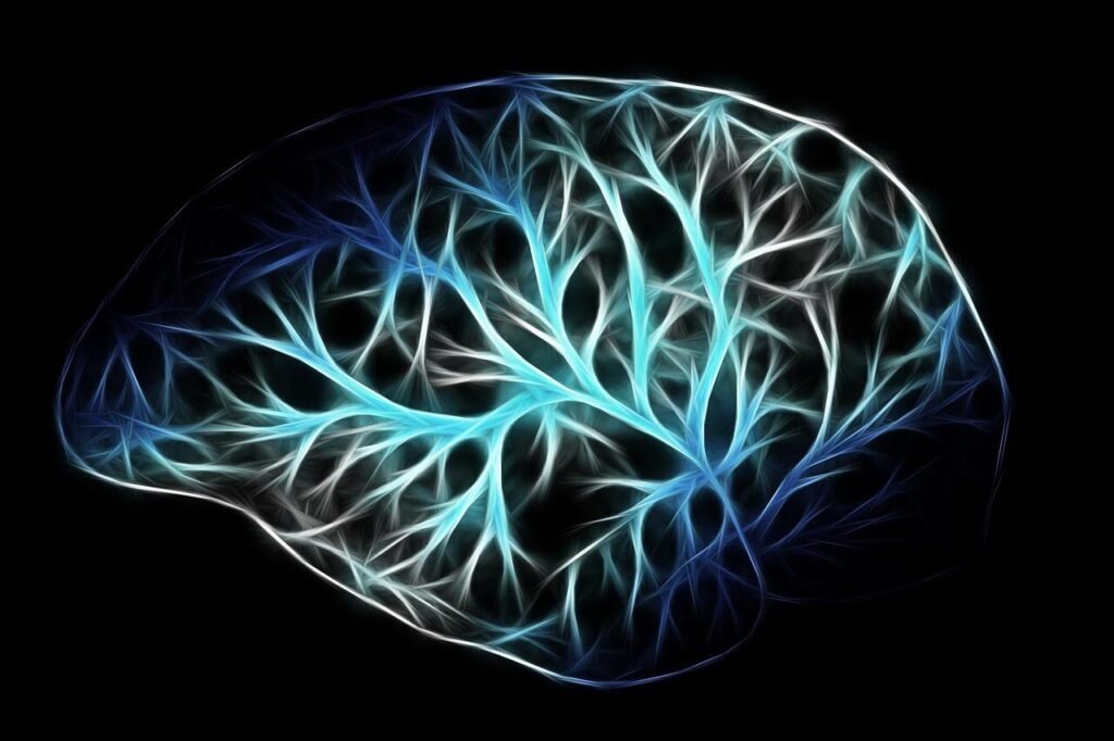 How the Brain Rewires After Amputation: A Clinician's Quick Guide