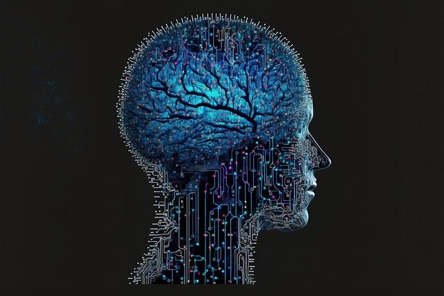 Setting the Right Expectations: How Long Until the Brain Learns?