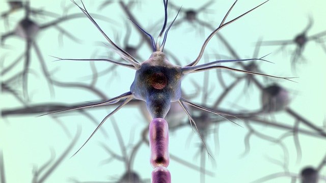 Real-Time Neural Adaptation: The Tech Behind Seamless Bionic Movements